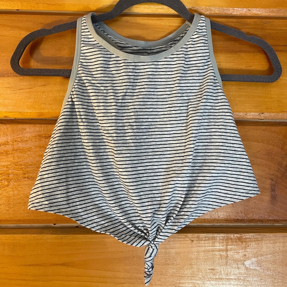 Aerie Crop Top